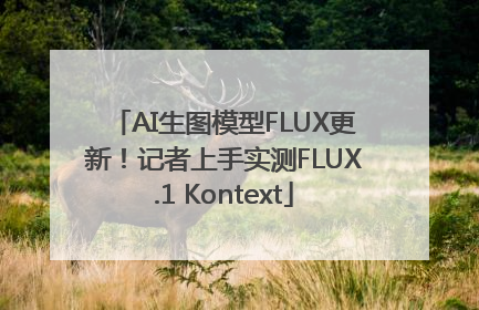AI生图模型FLUX更新！记者上手实测FLUX.1 Kontext