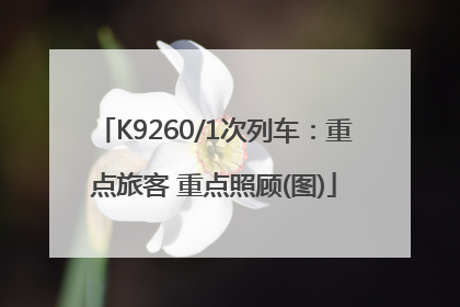 K9260/1次列车：重点旅客 重点照顾(图)